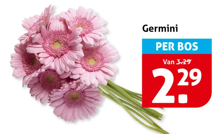 Aanbieding: Germini