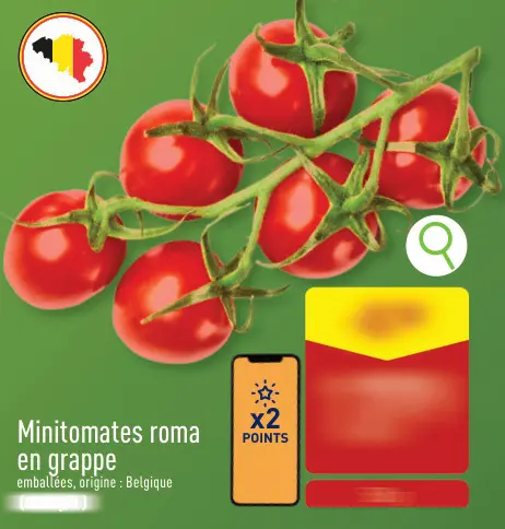 Offre: Minitomates roma en grappe