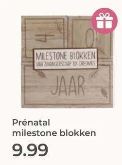 Aanbieding: milestone blokken