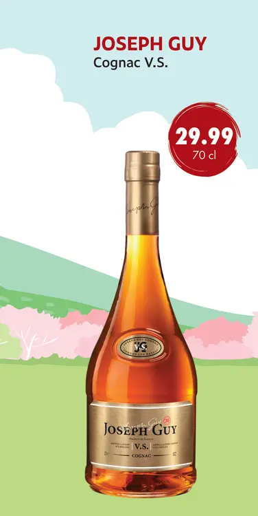 Aanbieding: Joseph Guy V.S. Cognac V.S.