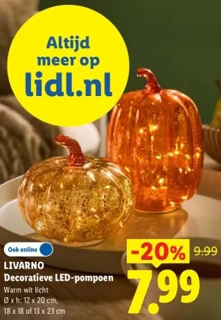 Aanbieding: Decoratieve LED-pompoen