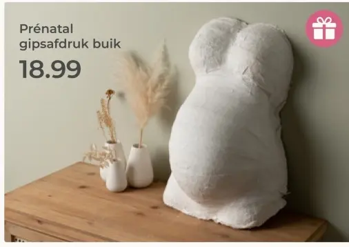 Aanbieding: Prénatal gipsafdruk buik