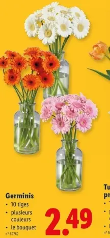 Offre: Germinis
