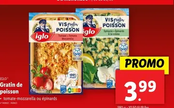 Offre: Gratin de poisson