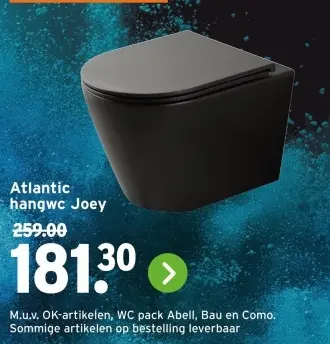 Aanbieding: Atlantic hangwc Joey
