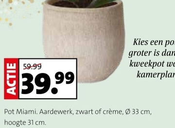 Aanbieding: Pot Miami. Aardewerk