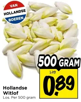 Aanbieding: Hollandse Witlof