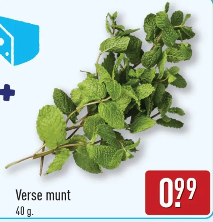 Aanbieding: Verse munt