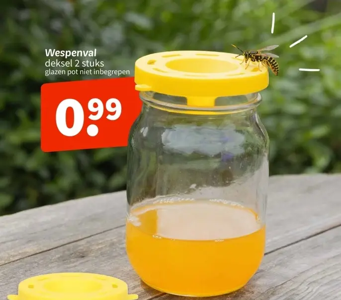 Aanbieding: Wespenval