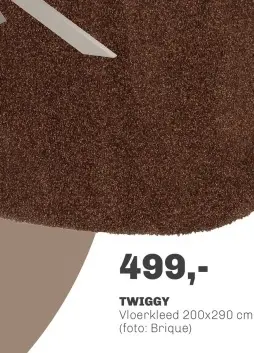 Aanbieding: Twiggy