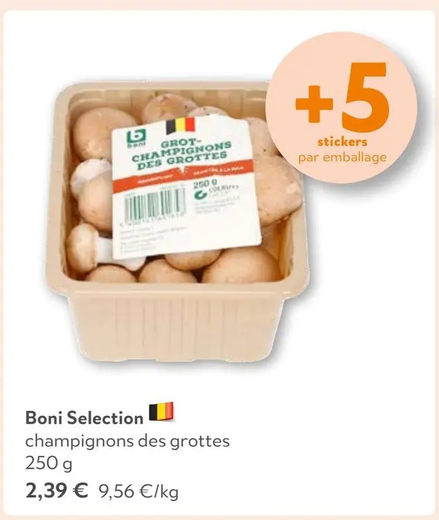 Offre: champignons des grottes