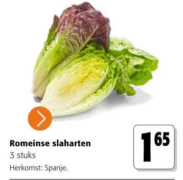 Promotie: Romeinse slaharten