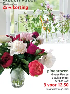 Aanbieding: pioenrozen