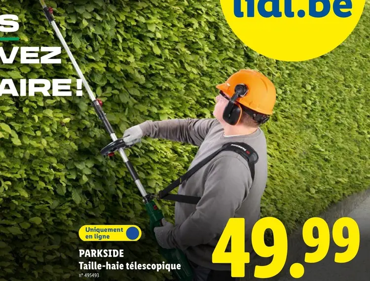 Offre: Taille-haie télescopique