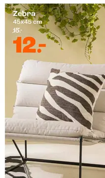 Aanbieding: Zebra