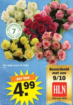 Aanbieding: AH Lange rozen
