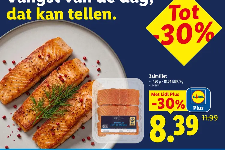 Promotie: Zalmfilet