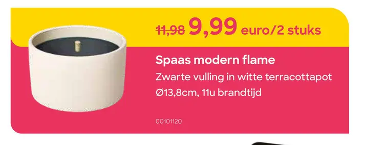 Promotie: Spaas modern flame