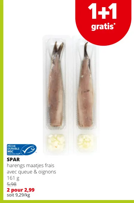 Offre: Harengs maatjes frais avec queue & oignons