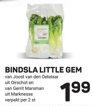 Aanbieding: Bindsla little gem