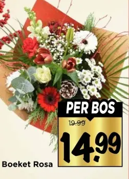 Aanbieding: Boeket Rosa