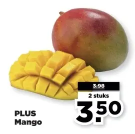 Aanbieding: Mango