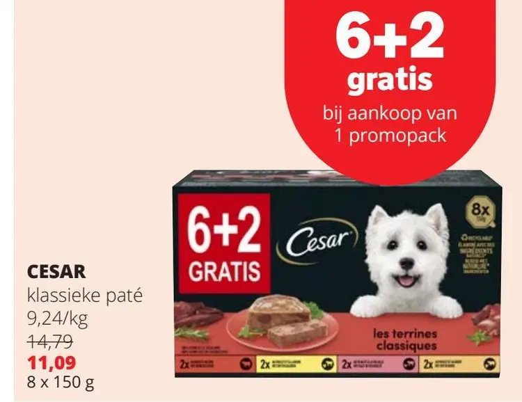Promotie: Klassieke paté