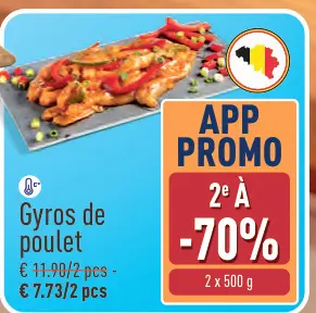 Offre: Gyros de poulet
