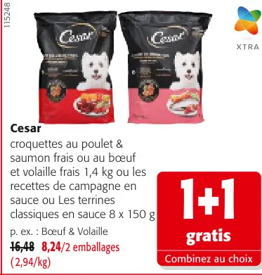 Offre: Cesar