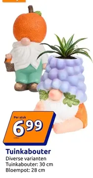 Aanbieding: Tuinkabouter