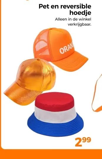 Aanbieding: Pet en reversible hoedje