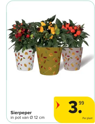 Offre: Sierpeper