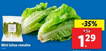 Offre: Mini laitue romaine