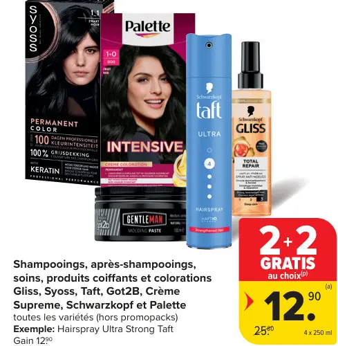 Offre: Shampooings, après-shampooings, soins, produits coiffants et colorations 