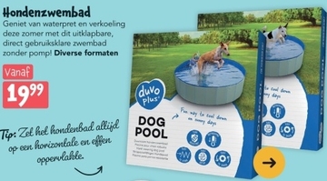 Aanbieding: Hondenzwembad