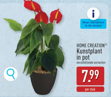Promotie: Kunstplant in pot