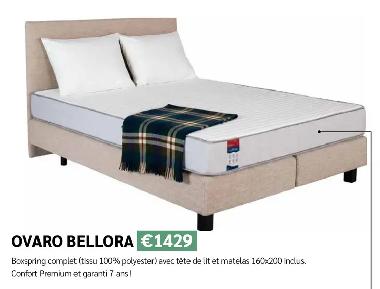 Offre: Ovaro bellora