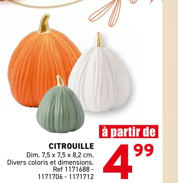 Offre: Citrouille