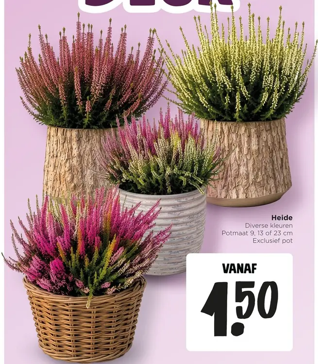 Aanbieding: Heide