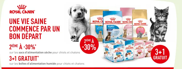 Offre: Alimentation pour chiots et chatons