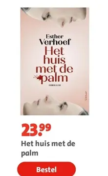 Aanbieding: Het huis met de palm