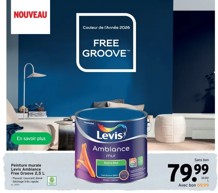 Offre: Peinture murale Free Groove