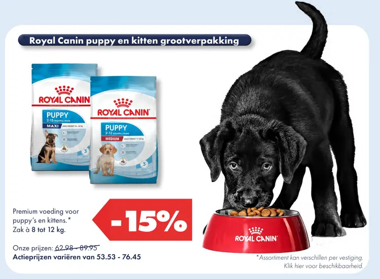 Aanbieding: Puppy en kitten grootverpakking
