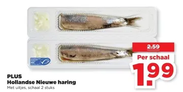 Aanbieding: Hollandse Nieuwe haring