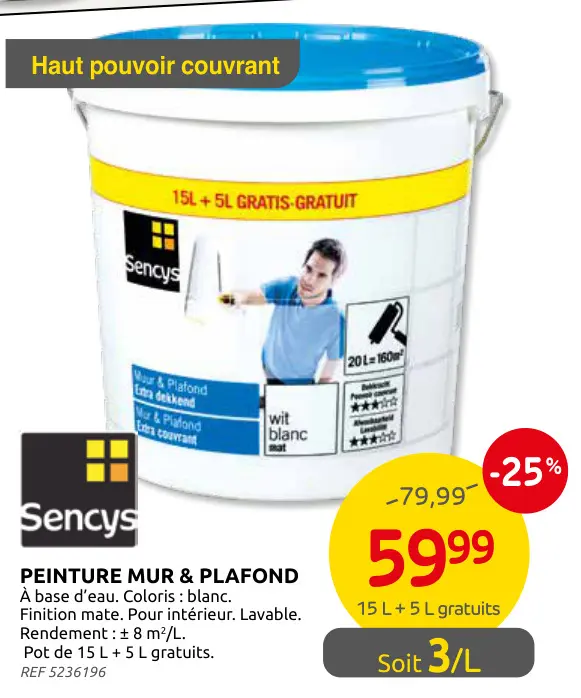 Offre: Peinture mur & plafond