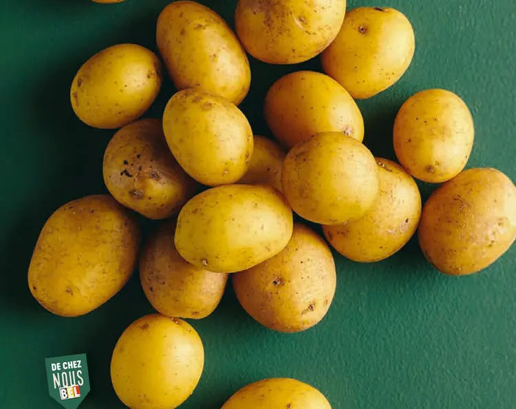 Offre: Pommes de terre