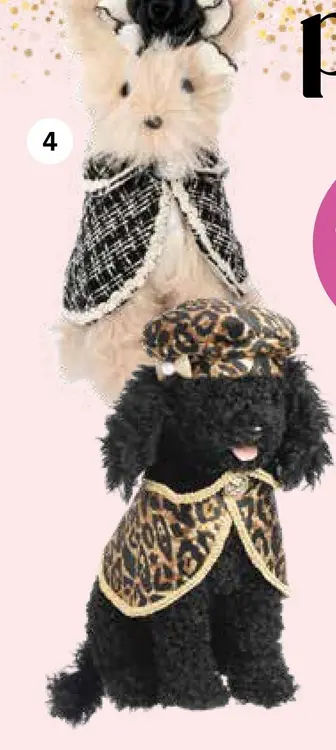 Aanbieding: Honden knuffels met kleding