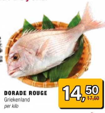 Aanbieding: DORADE ROUGE