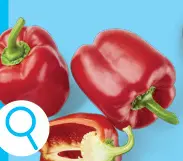 Offre: Poivrons rouges