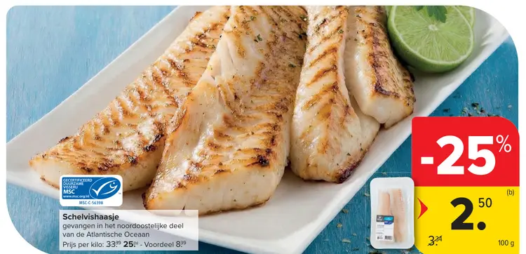 Promotie: Schelvishaasje